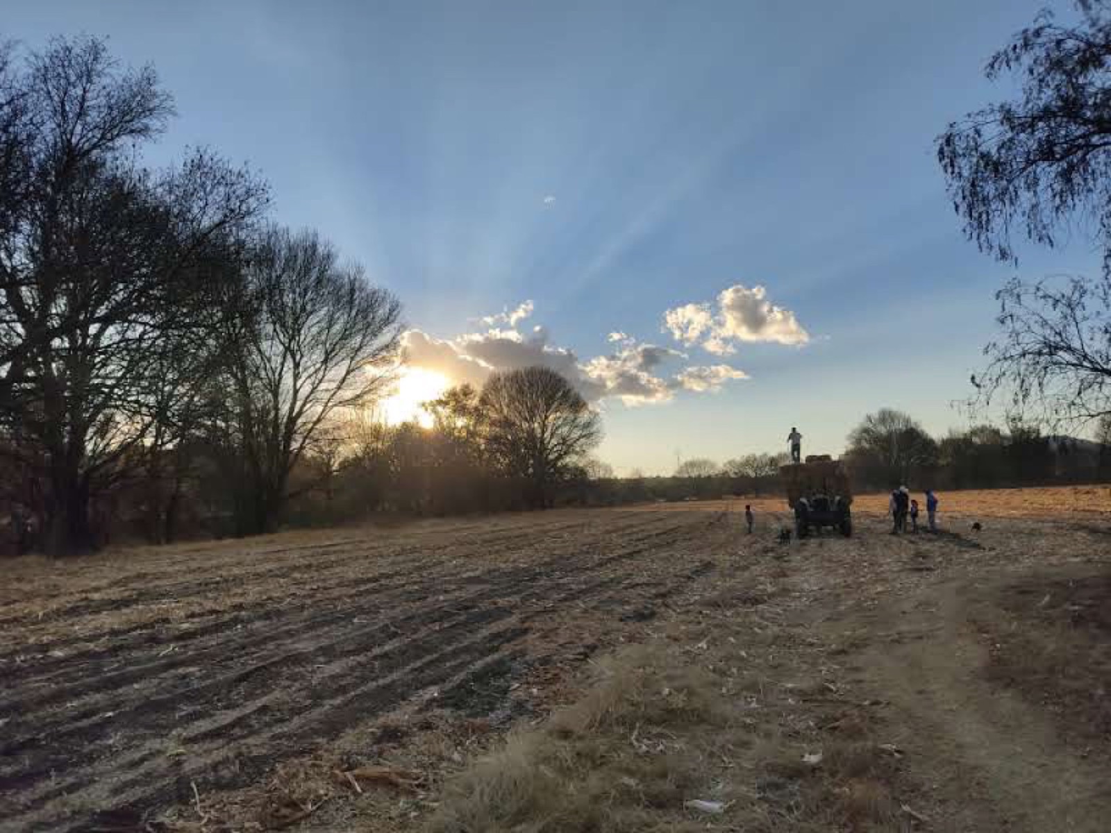Atardecer sobre el campo del rancho